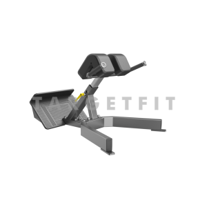 Back Extension DHZ Fitness