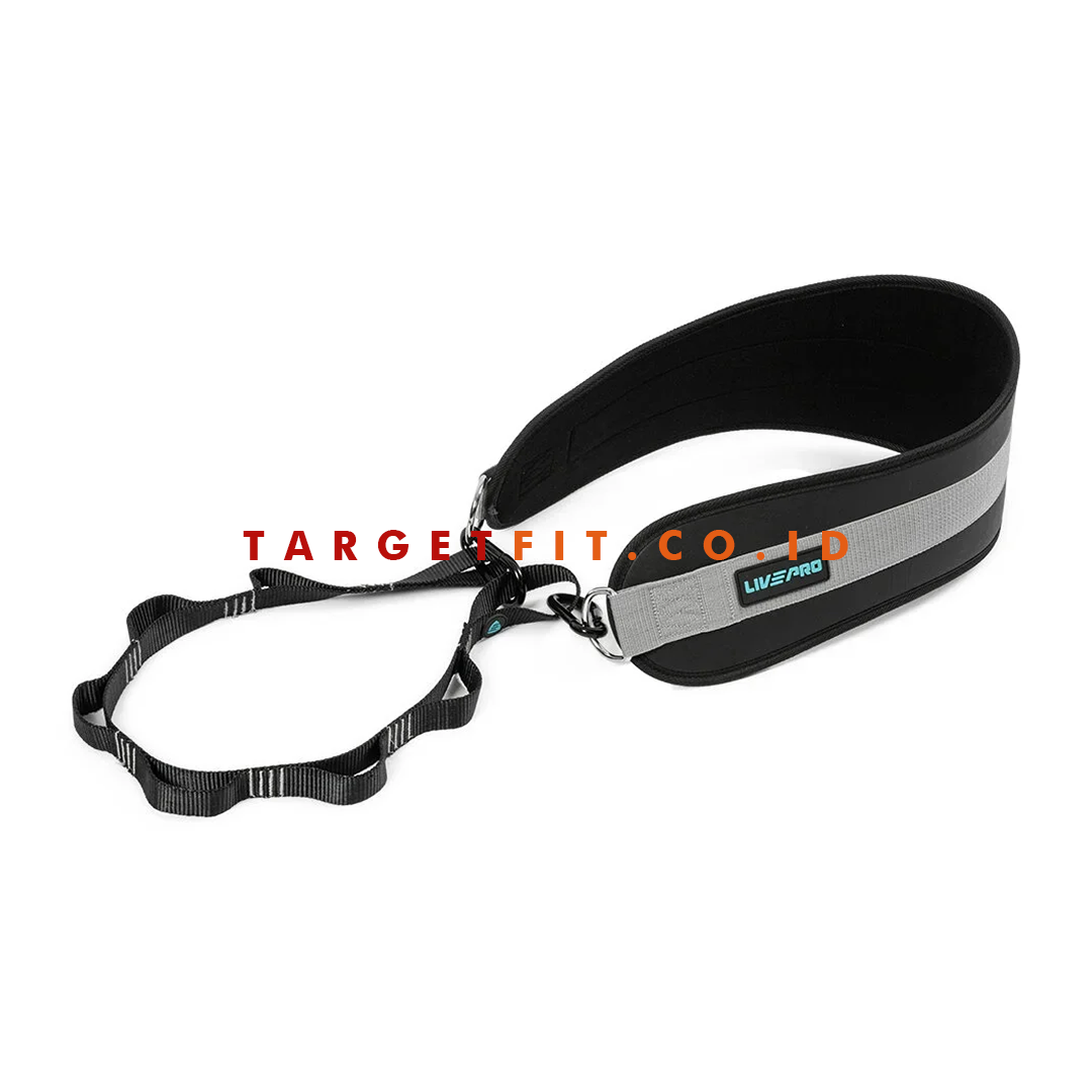 Dip Belt / Chin Pull Up Livepro - Image 2
